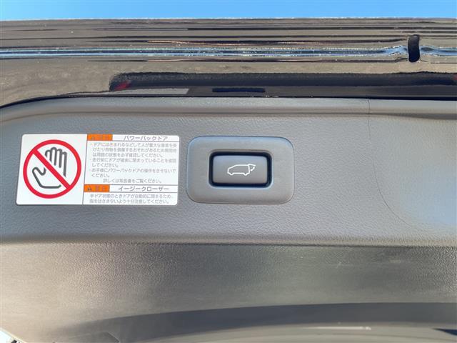 アルファード 2.5S Cパッケージ プリクラッシュセーフティセンス ETC 純正9インチディスプレイオーディオ バックモニター レーダークルーズコントロール リアオートエアコン 両側パワースライドドア パワーバックドア オートライト(25枚目)