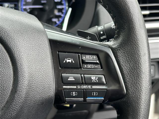 レヴォーグ １．６ＧＴアイサイト　／ナビ（ＣＮ－ＲＳ０２Ｄ）／ＴＶ／ＣＤ／ＤＶＤ／Ｂｌｕｅｔｏｏｔｈ／バックカメラ／ＥＴＣ／クルーズコントロール／前席パワーシート／社外フロアマット／純正アルミホイール／ドアバイザー（13枚目）