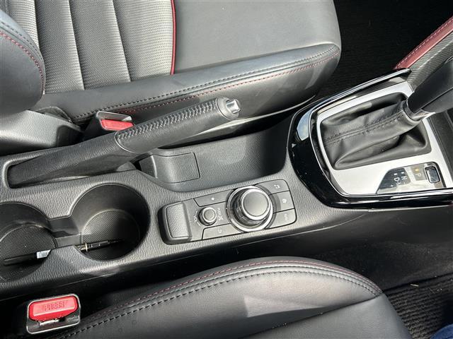 CX-3 XD ツーリング /ナビ/TV/CD/DVD/Bluetooth/ETC/バックカメラ/クルーズコントロール/ハーフレザーシート/パドルシフト/純正フロアマット/純正アルミホイール/ドアバイザー(16枚目)