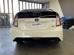 �ץꥦ�� �ӥġ���󥰥��쥯����󡡣ǡǣ󡡥ʥӡʣţأ������֡ˡ��ԣ֡��ã� 0541679A20251220J001 5