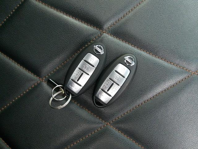 エルグランド ２５０ハイウェイスタープレミアム　後期　Ｗサンルーフ　黒本革シート　前席パワーシート　シートヒーター　アウトランドビューモニター　フリップダウンモニター　パワーテールゲート　Ｂｌｕｅｔｏｏｔｈ　クルーズコントロール　クリアランスソナー（45枚目）