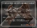 アルファードＶ ＡＳ　リミテッド　後期　両側パワスラ　純正ＨＤＤナビ　フルセグＴＶ　フリップダウンモニター　Ｂｌｕｅｔｏｏｔｈ　デジタルインナーミラー型前後ドラレコ　バックカメラ　ＨＩＤヘッドライト　オートライト　純正１７ＡＷ　ＥＴＣ（2枚目）