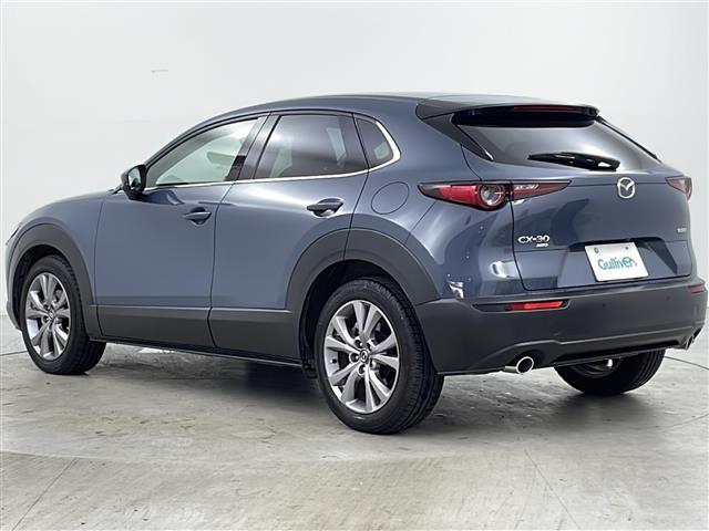 ＣＸ－３０ ＸＤ　プロアクティブ　ツーリングセレクション　全方位カメラ　パワーバックドア　パワーシート　シートヒーター　ステアリングヒーター　　ＥＴＣ　ＬＥＤヘッドライト（43枚目）