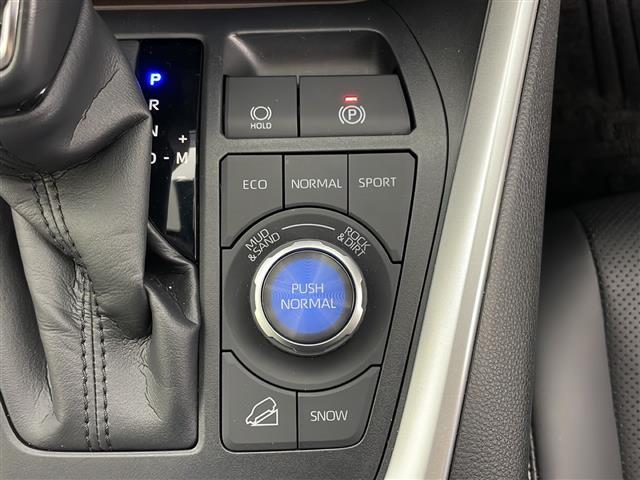 ＲＡＶ４ Ｇ　Ｚパッケージ　４ＷＤ／寒冷地仕様／純正ナビ／全方位カメラ／セーフティセンス／スタアリングヒーター／シートヒーター／ベンチレーション／パワーバックドア　／ＬＥＤヘッドライト／ＥＴＣ／１９インチ純正アルミホイール（30枚目）