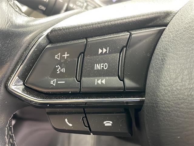 ＣＸ－８ ＸＤ　Ｌパッケージ　純正ナビ＆ＴＶ＆ＢＴ　全方位カメラ　ｉ－ＡＣＴＩＶＳＥＮＳＥ　クルーズコントロール　ステアリングスイッチ　パワーシート　ステアリングヒーター　全席シートヒーター　ビルトインＥＴＣ　ＬＥＤヘッドライト（23枚目）