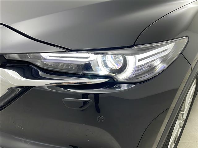 ＣＸ－８ ＸＤ　Ｌパッケージ　純正ナビ＆ＴＶ＆ＢＴ　全方位カメラ　ｉ－ＡＣＴＩＶＳＥＮＳＥ　クルーズコントロール　ステアリングスイッチ　パワーシート　ステアリングヒーター　全席シートヒーター　ビルトインＥＴＣ　ＬＥＤヘッドライト（37枚目）