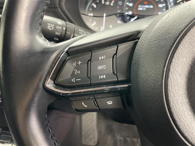 ＣＸ－８ ＸＤプロアクティブ　Ｓパッケージ　１オーナー純正ナビ＆ＢＴ＆ＤＶＤ＆ＣＤ＆ＡＵＸ＆ＵＳＢ＆ＴＶ　全方位カメラ　パワーバックドア　ｉ－ＡＣＴＩＶＥＳＥＮＳＥ　クルコン　ブラインドスポットモニター　純正前後ドラレコ　シートヒーター　ＥＴＣ（11枚目）