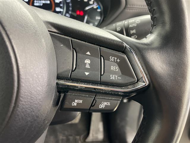 ＣＸ－８ ＸＤプロアクティブ　Ｓパッケージ　１オーナー純正ナビ＆ＢＴ＆ＤＶＤ＆ＣＤ＆ＡＵＸ＆ＵＳＢ＆ＴＶ　全方位カメラ　パワーバックドア　ｉ－ＡＣＴＩＶＥＳＥＮＳＥ　クルコン　ブラインドスポットモニター　純正前後ドラレコ　シートヒーター　ＥＴＣ（12枚目）