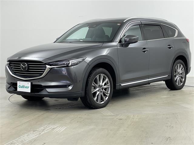 ＣＸ－８ ＸＤプロアクティブ　Ｓパッケージ　１オーナー純正ナビ＆ＢＴ＆ＤＶＤ＆ＣＤ＆ＡＵＸ＆ＵＳＢ＆ＴＶ　全方位カメラ　パワーバックドア　ｉ－ＡＣＴＩＶＥＳＥＮＳＥ　クルコン　ブラインドスポットモニター　純正前後ドラレコ　シートヒーター　ＥＴＣ（33枚目）