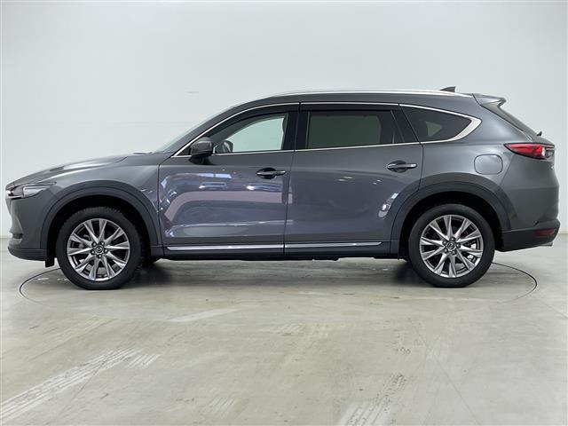 ＣＸ－８ ＸＤプロアクティブ　Ｓパッケージ　１オーナー純正ナビ＆ＢＴ＆ＤＶＤ＆ＣＤ＆ＡＵＸ＆ＵＳＢ＆ＴＶ　全方位カメラ　パワーバックドア　ｉ－ＡＣＴＩＶＥＳＥＮＳＥ　クルコン　ブラインドスポットモニター　純正前後ドラレコ　シートヒーター　ＥＴＣ（38枚目）