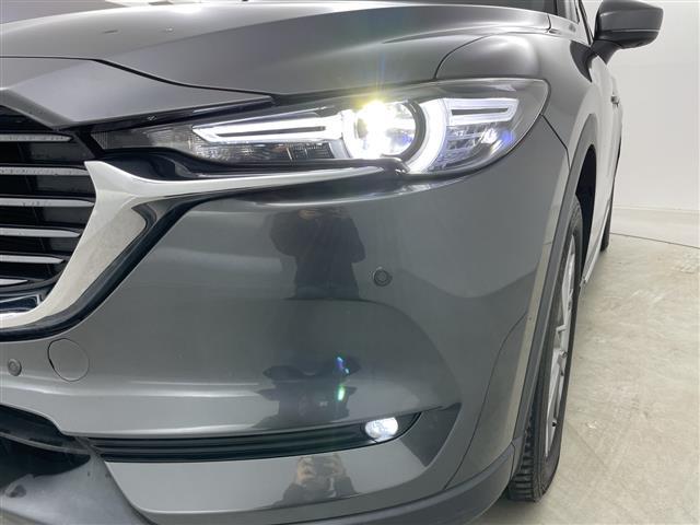 ＣＸ－８ ＸＤプロアクティブ　Ｓパッケージ　１オーナー純正ナビ＆ＢＴ＆ＤＶＤ＆ＣＤ＆ＡＵＸ＆ＵＳＢ＆ＴＶ　全方位カメラ　パワーバックドア　ｉ－ＡＣＴＩＶＥＳＥＮＳＥ　クルコン　ブラインドスポットモニター　純正前後ドラレコ　シートヒーター　ＥＴＣ（40枚目）