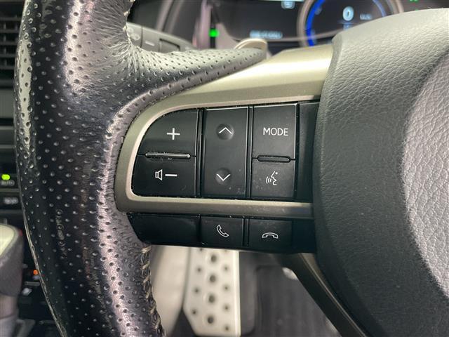 RX RX450h 4WD サンルーフ 純正ナビ・全方位カメラ パワーバックドア レクサスセーフティーシステム オートクルーズコントロール ブラインドスポットモニター パドルシフト レザーシート 前席パワーシート LED(11枚目)