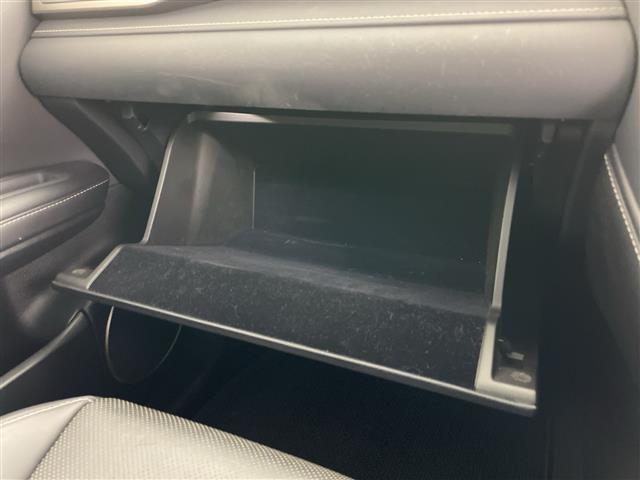 RX RX450h 4WD サンルーフ 純正ナビ・全方位カメラ パワーバックドア レクサスセーフティーシステム オートクルーズコントロール ブラインドスポットモニター パドルシフト レザーシート 前席パワーシート LED(23枚目)