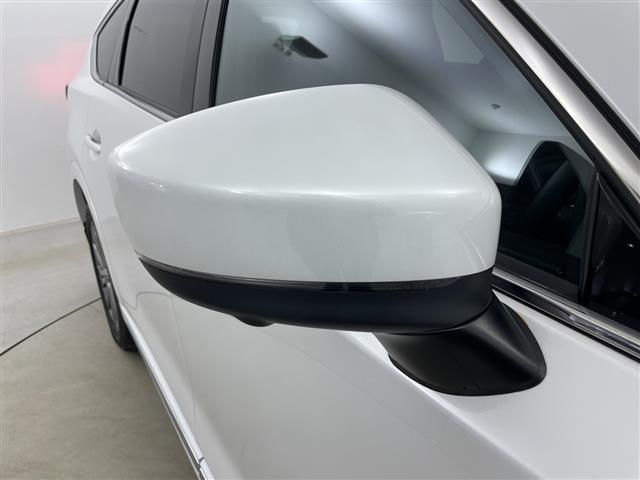 CX-8 XD エクスクルーシブモード 4WD ディーゼル 寒冷地仕様 BOSE 純正マツダコネクト2ナビ 全方位カメラ パワーバックドア i-ACTIVSENSE レーダークルーズコントロール ブラインドスポットモニター 純正ドラレコ前後(40枚目)