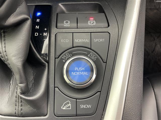 RAV4 G Zパッケージ 4WD 寒冷地仕様 モデリスタフルエアロ 純正ディスプレイオーディオ 全方位カメラ トヨタセーフティセンス レーダークルーズコントロール パワーバックドア D席パワーシート 前席シートヒーター(16枚目)