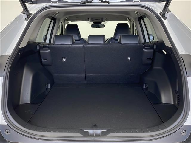 ＲＡＶ４ Ｇ　４ＷＤ　ＴＲＤエアロ　ルーフレール　パワーバックドア　純正ディスプレイオーディオ　全方位カメラ・バックカメラ　ビルトインＥＴＣ２．０　トヨタセーフティセンス　アダプティブクルーズコントロール　ＵＳＢ（23枚目）