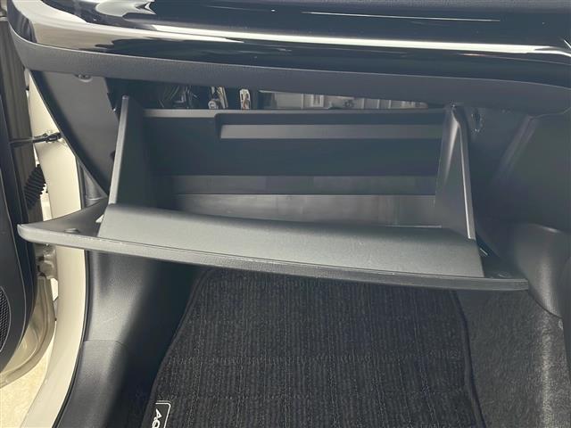 アクア Ｘ　ワンオーナー　フルセグＴＶ　バックカメラ　プッシュスタート　スマートキー　トヨタセーフティンス　寒冷地仕様　フロントワイパーデアイサー　ドアミラーヒーター　ＬＥＤヘッドライト　ウィンカーミラー（19枚目）