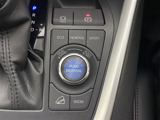 RAV4 アドベンチャー オフロードパッケージ 純正ナビ フルセグTV バックカメラ トヨタセーフティーセンス ブラインドスポットモニター レーダークルーズコントロール レザーシート ETC2.0 前後ドラレコ 運転席パワーシート LEDライト(17枚目)