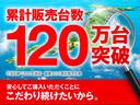 Ｓ　純正エアロ　純正ドライブレコーダー　バックカメラ　横滑り防止装置　ＬＥＤヘッドライト　オートライト　ステアリングスイッチ　フロントフォグランプ　取扱説明書　保証書（48枚目）