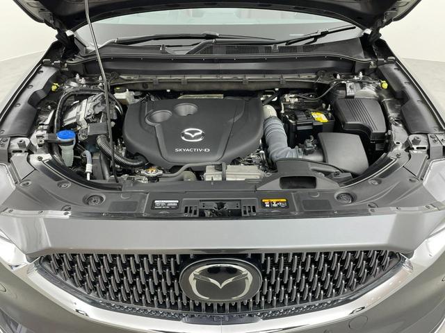 ＣＸ－８ ＸＤ　エクスクルーシブモード　純正ナビ　ＢＯＳＥ　全方位　本革シート　衝突軽減　コーナーセンサー　純正１９インチアルミ　ルーフレール　ＢＳＭ　電動リア　ＬＥＤ　レーダークルーズ　電動シート　置くだけ充電　シートヒーター＆エアシート（33枚目）