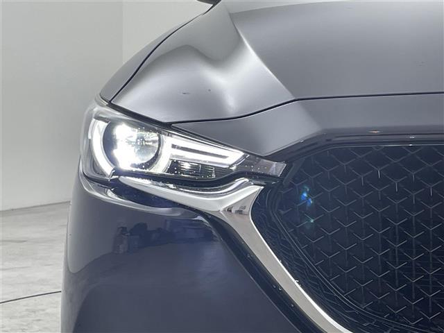 ＣＸ－５ ＸＤ　Ｌパッケージ　純正ナビ　バックカメラ　ＡＣＣ　コーナーセンサー　スマート・シティ・ブレーキ・サポート　レーンキープ　ＢＳＭ　ＭＴモード付　パワーバックドア　ステアリングヒーター　シートヒーター　パワーシート　ＬＥＤ（17枚目）