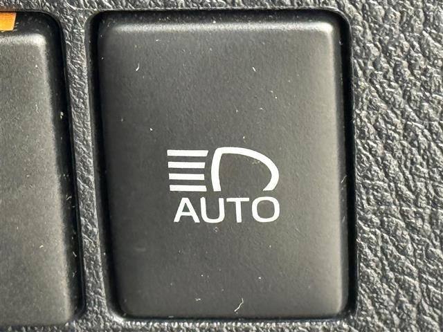 アルファード 2.5S タイプゴールドII 純正DA 後席モニター 両側電動ドア ビルトインETC バックカメラ 電動リアゲート レーダークルーズコントロール プリクラッシュセーフティ レーンキープ オートマチックハイビーム LEDヘッドライト(30枚目)