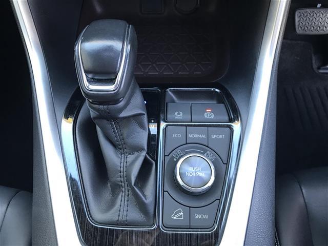 ＲＡＶ４ Ｇ　Ｚパッケージ（20枚目）