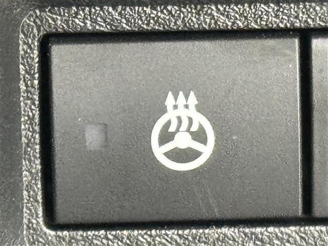 ノート オーテック　ＦＯＵＲ　純正ナビ／フルセグＴＶ　全方位カメラ　ワイヤレス充電　デジタルルームミラー　プロパイロット　エマージェンシーブレーキ　レーンキープ　ＢＳＭ　アクセル踏み間違い防止　シートヒーター　ステアリングヒーター（28枚目）