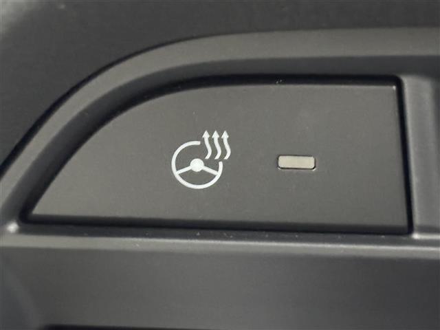 CX-8 XD Lパッケージ 純正ナビ 全方位カメラ BOSE レーダークルコン コーナーセンサー 衝突軽減 レーンキープ アクセル踏み間違い防止 BSM ステアリングヒーター シートベンチレーション/ヒーター パワーバックドア(35枚目)