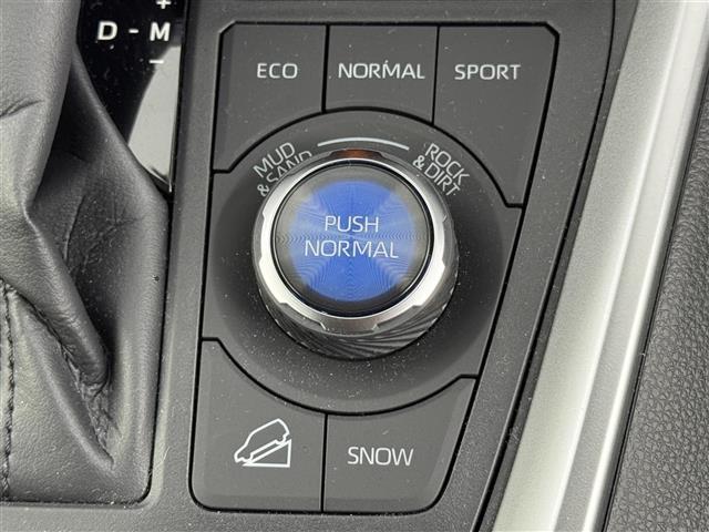 RAV4 G Zパッケージ 純正10.5型DAナビ/フルセグTV 全方位カメラ デジタルルームミラー トヨタセーフティセンス アクセル踏み間違い防止 ヒルディセントコントロール シートベンチレーション/ヒーター パワーバックドア(32枚目)