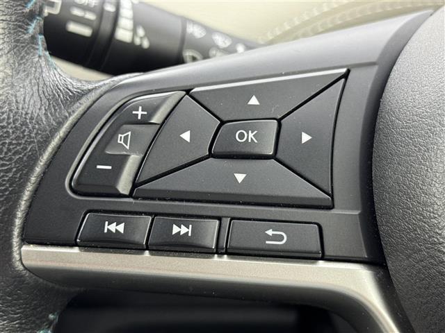 セレナ ライダー オーテック 30th 後席モニター 純正ナビ 全方位カメラ/フルセグTV ETC 前後ドラレコ プロパイロット エマージェンシーブレーキ レーンキープ パーキングアシスト 両側電動スライドドア シートヒーター LEDライト(25枚目)