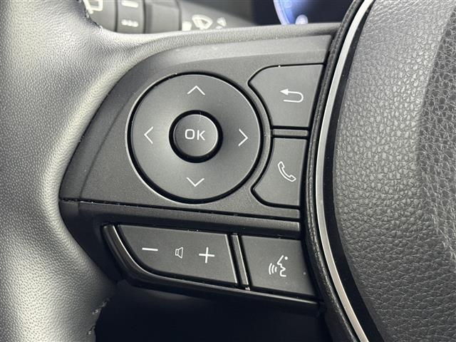 ＲＡＶ４ アドベンチャー　サンルーフ　純正１０．５型ＤＡナビ　バックカメラ　デジタルルームミラー　トヨタセーフティセンス　アクセル踏み間違い防止　ＢＳＭ　シートベンチレーション／ヒーター　ステアリングヒーター　パワーバックドア（25枚目）