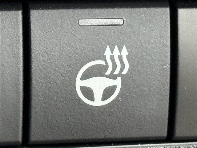 ＲＡＶ４ アドベンチャー　サンルーフ　純正１０．５型ＤＡナビ　バックカメラ　デジタルルームミラー　トヨタセーフティセンス　アクセル踏み間違い防止　ＢＳＭ　シートベンチレーション／ヒーター　ステアリングヒーター　パワーバックドア（27枚目）