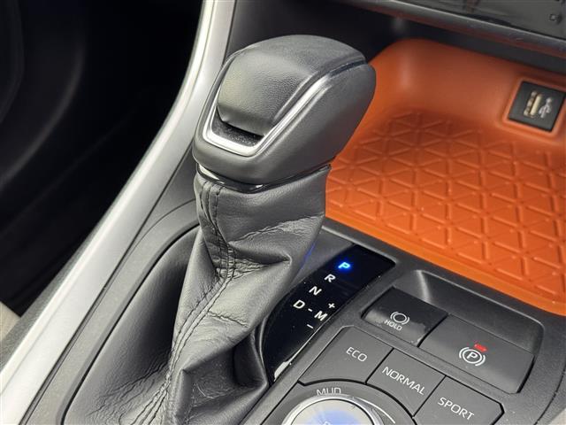 ＲＡＶ４ アドベンチャー　サンルーフ　純正１０．５型ＤＡナビ　バックカメラ　デジタルルームミラー　トヨタセーフティセンス　アクセル踏み間違い防止　ＢＳＭ　シートベンチレーション／ヒーター　ステアリングヒーター　パワーバックドア（31枚目）