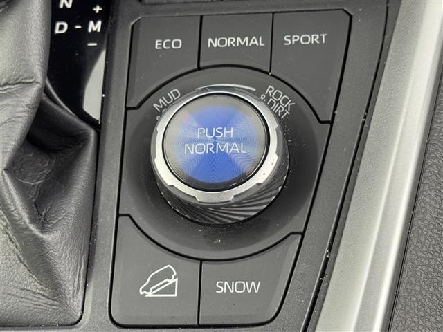 ＲＡＶ４ アドベンチャー　サンルーフ　純正１０．５型ＤＡナビ　バックカメラ　デジタルルームミラー　トヨタセーフティセンス　アクセル踏み間違い防止　ＢＳＭ　シートベンチレーション／ヒーター　ステアリングヒーター　パワーバックドア（32枚目）
