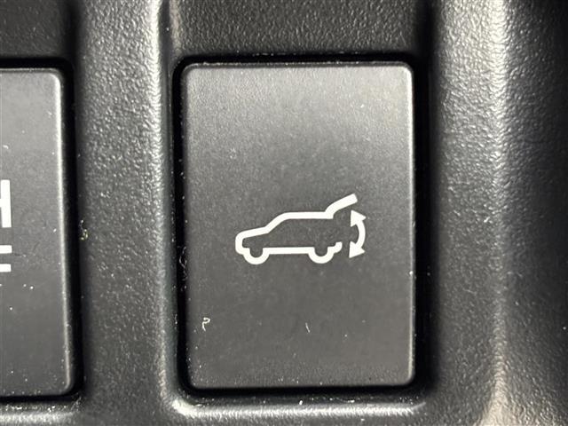 フォレスター アドバンス 純正8インチナビ デジタルルームミラー F.S.Rカメラ レーダークルーズコントロール 衝突被害軽減 レーンキープ コーナーセンサー センターデフロック パドルシフト パワーバックドア シートヒーター(11枚目)