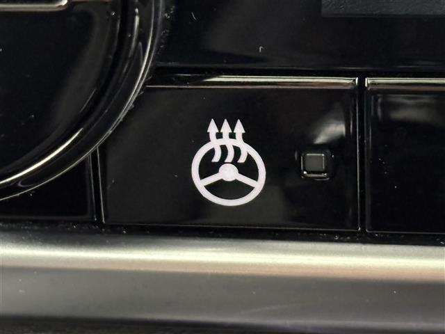 エクストレイル G e-4ORCE サンルーフ 純正9型ナビ/バックカメラ BOSE ワイヤレス充電 デジタルルームミラー プロパイ エマージェンシーブレーキ レーンキープ プロパイロットパーキング シートヒーター パワーバックドア(31枚目)