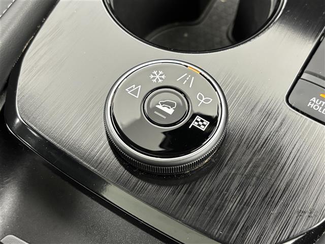 エクストレイル G e-4ORCE サンルーフ 純正9型ナビ/バックカメラ BOSE ワイヤレス充電 デジタルルームミラー プロパイ エマージェンシーブレーキ レーンキープ プロパイロットパーキング シートヒーター パワーバックドア(34枚目)