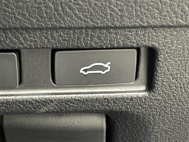 ES ES300h Fスポーツ サンルーフ 純正12.3型ナビ ワイヤレス充電 レクサスセーフティセンス 衝突軽減 レーンキープ アクセル踏み間違い防止 HUD シートベンチレーション/ヒーター ステアリングヒーター パワートランク(32枚目)