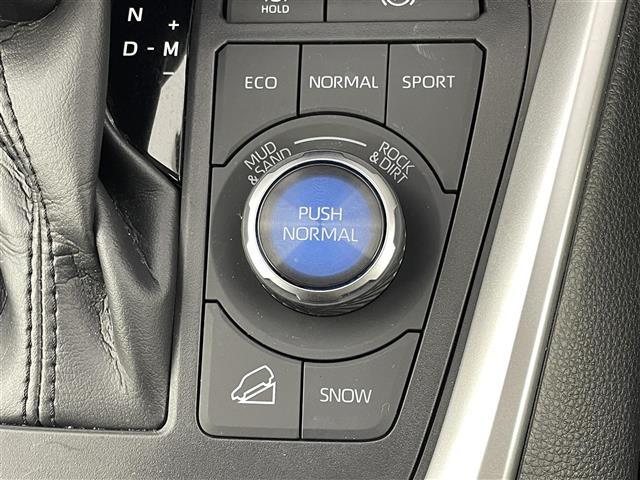 RAV4 G Zパッケージ ワンオーナー 純正10.5型DAナビ 全方位カメラ ワイヤレス充電 デジタルインナーミラー トヨタセーフティセンス アクセル踏み間違い防止 シートベンチレーション/ヒーター パワーバックドア 純正AW(33枚目)