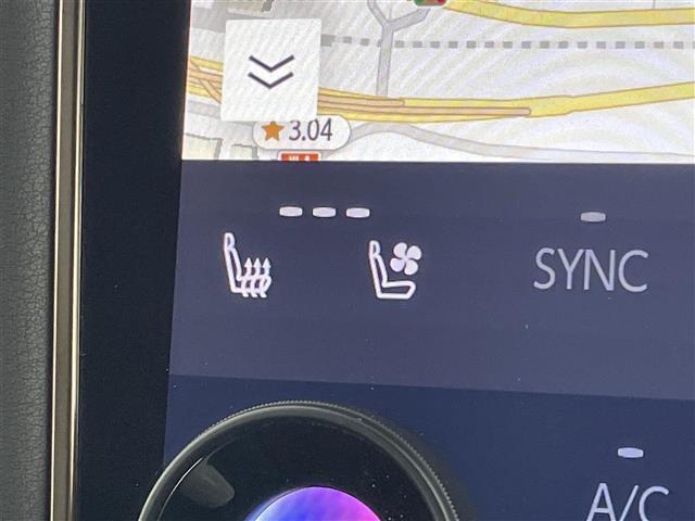 アルファードハイブリッド Z サンルーフ モデリスタエアロ/マフラー 純正14型DAナビ 全方位カメラ ワイヤレス充電 ユニバーサルステップ トヨタセーフティセンス チームメイトアドバンストパーク 両側電動スライドドア 3眼LED(30枚目)
