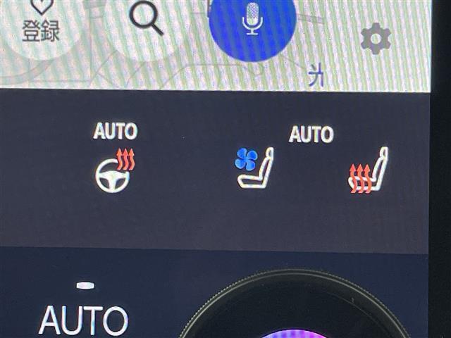 アルファードハイブリッド Z サンルーフ モデリスタエアロ/マフラー 純正14型DAナビ 全方位カメラ ワイヤレス充電 ユニバーサルステップ トヨタセーフティセンス チームメイトアドバンストパーク 両側電動スライドドア 3眼LED(31枚目)