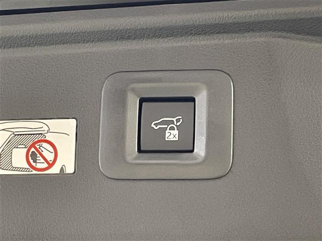 アルファードハイブリッド Z サンルーフ モデリスタエアロ/マフラー 純正14型DAナビ 全方位カメラ ワイヤレス充電 ユニバーサルステップ トヨタセーフティセンス チームメイトアドバンストパーク 両側電動スライドドア 3眼LED(37枚目)