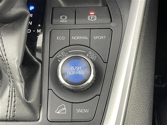 ＲＡＶ４ Ｇ　Ｚパッケージ　社外１０インチフローティングＳＤナビ　バックカメラ　レーダークルーズ　プリクラッシュセーフティ　ＴＲＤエアロ　パノラマルーフ　デジタルインナーミラー　クリアランスソナー　ドラレコ　ＥＴＣ　シートヒータ（28枚目）