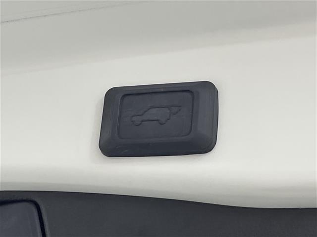 ＲＡＶ４ Ｇ　Ｚパッケージ　社外１０インチフローティングＳＤナビ　バックカメラ　レーダークルーズ　プリクラッシュセーフティ　ＴＲＤエアロ　パノラマルーフ　デジタルインナーミラー　クリアランスソナー　ドラレコ　ＥＴＣ　シートヒータ（31枚目）
