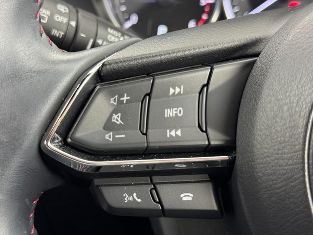ＣＸ－８ ＸＤ　ブラックトーンエディション　ワンオーナー　純正ナビ　全方位カメラ　マツダレーダークルコン　コーナーセンサー　スマートシティブレーキサポート　レーンキープ　ＢＳＭ　全席シートヒーター　ステアリングヒーター　パワーバックドア　ＬＥＤ（25枚目）