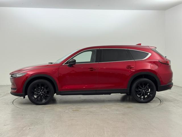 ＣＸ－８ ＸＤ　ブラックトーンエディション　ワンオーナー　純正ナビ　全方位カメラ　マツダレーダークルコン　コーナーセンサー　スマートシティブレーキサポート　レーンキープ　ＢＳＭ　全席シートヒーター　ステアリングヒーター　パワーバックドア　ＬＥＤ（38枚目）
