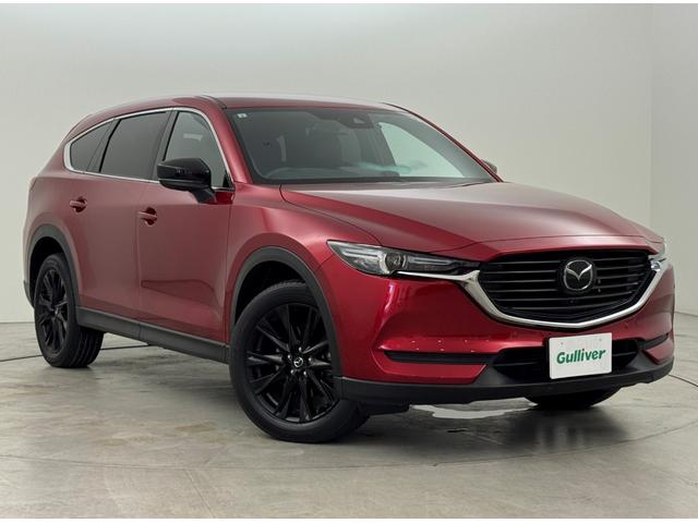 ＣＸ－８ ＸＤ　ブラックトーンエディション　ワンオーナー　純正ナビ　全方位カメラ　マツダレーダークルコン　コーナーセンサー　スマートシティブレーキサポート　レーンキープ　ＢＳＭ　全席シートヒーター　ステアリングヒーター　パワーバックドア　ＬＥＤ（41枚目）