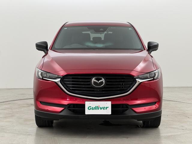 ＣＸ－８ ＸＤ　ブラックトーンエディション　ワンオーナー　純正ナビ　全方位カメラ　マツダレーダークルコン　コーナーセンサー　スマートシティブレーキサポート　レーンキープ　ＢＳＭ　全席シートヒーター　ステアリングヒーター　パワーバックドア　ＬＥＤ（42枚目）