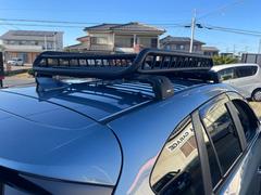 ãءݣ أġ̥ѥå롼ա롼եꥢХ 0541704A30251127W003 2